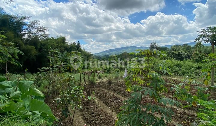 Tanah Strategis di Desa Pabuaran Sukamakmur Bogor