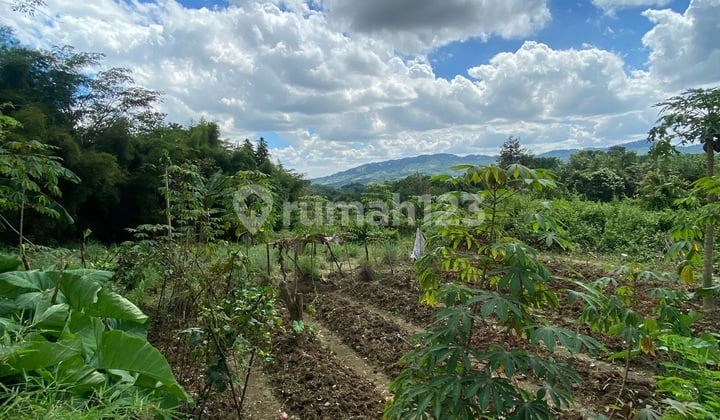 Tanah Strategis di Desa Pabuaran Sukamakmur Bogor