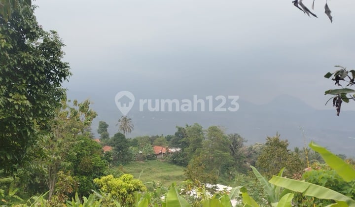 Tanah Luas di Sukamakmur Bogor , Bogor SHM 7.000 m²