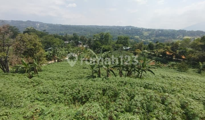 Tanah di Jl. Cijayanti, Bogor SHM 4.000 m²