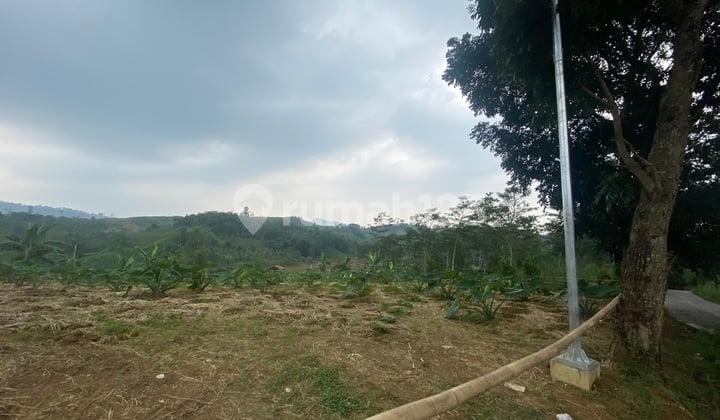 Tanah Murah Nempel Jalan Utama Di Sukamakmur Bogor