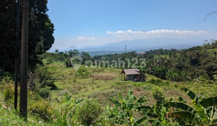 Tanah Luas Untuk Camground di Palasari Cijeruk, Bogor, SHM