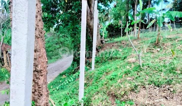 Kavling Cocok Untuk Investasi di Bali Salemadeg Barat, Tabanan