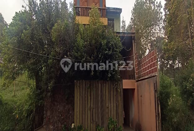 Rumah Villa Classic Bandung Utara Sejuk Sersan Bajur Trinity