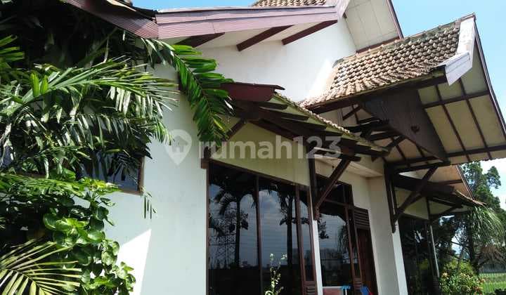 Rumah Nyaman Margacinta Buahbatu Bandung,asri