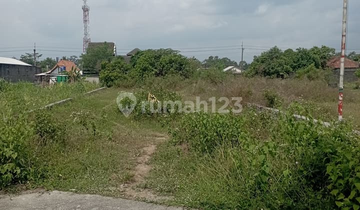 Tanah SHM Sawah 592 m² Di Kalasan Sleman Yogyakarta