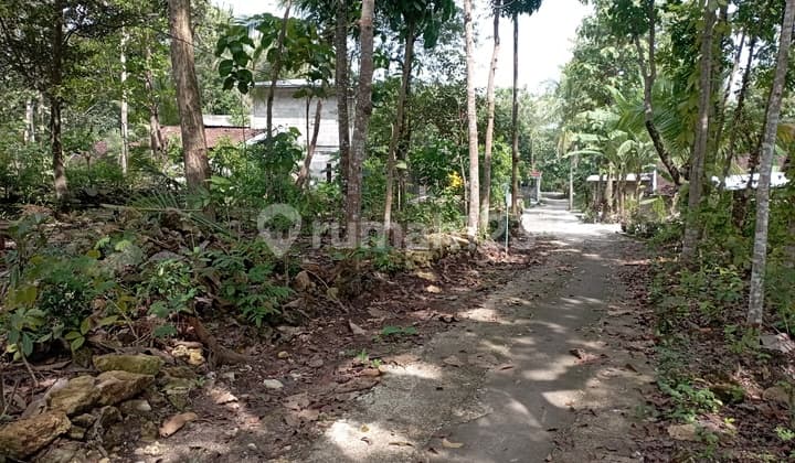 Tanah Pekarangan Murah Di Sedayu Bantul Yogyakarta