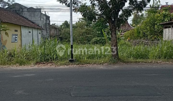 Tanah Luas Di Jalan Parangtritis Sewon Bantul Jogjakarta