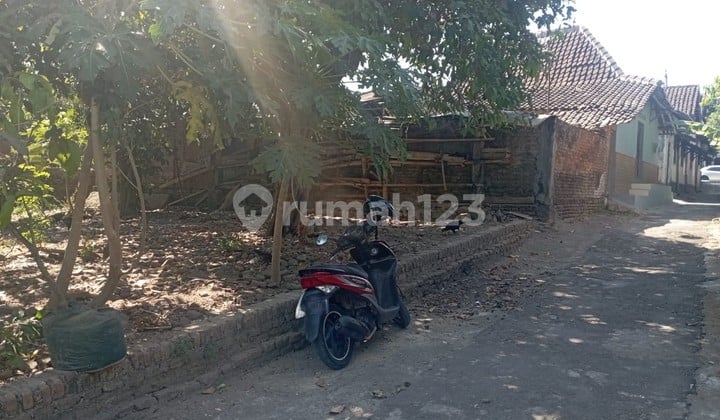 Tanah Pekarangan SHM Luas 184 Meter Persegi Lokasi Di Srimulyo Piyungan Bantul