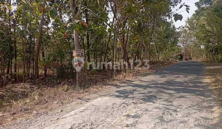 Tanah Luas 1269 Meter Persegi Lokasi Sedayu Bantul
