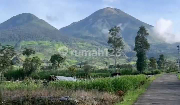 Glamping Land Area at the Foot of Mount Sindoro, Wonosobo, Central Java