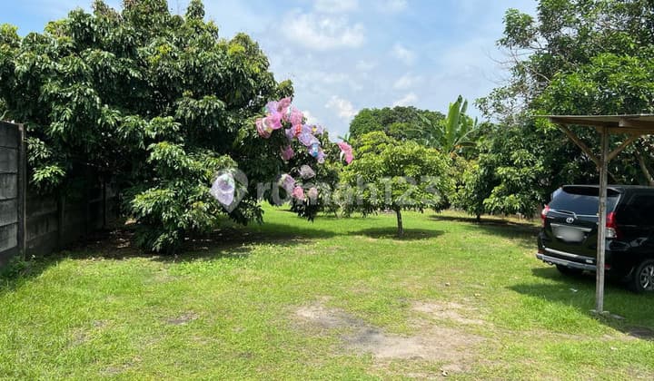 1443 Square Meters of Yard Land Located Near Adi Sucipto Airport, Berbah, Sleman.