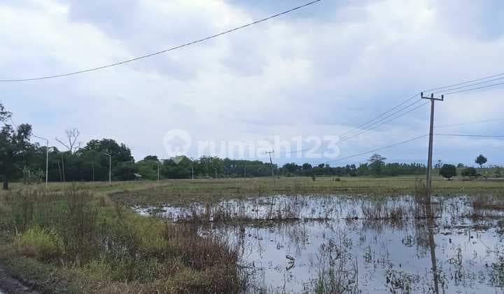 Dijual Tanah Kavling Desa Cikedung Cikamurang Indramayu Jawa Barat