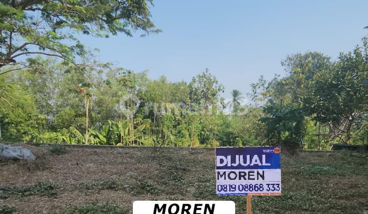 Dijual Kavling Crown Golf Pantai Indah Kapuk