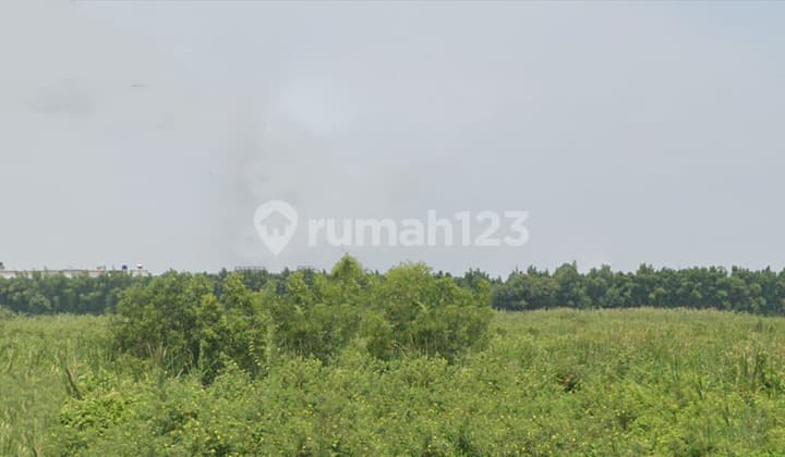 Dijual Cepat Termurah Tanah Pluit Belakang Long Beach Pik