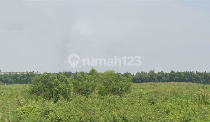 Dijual Cepat Termurah Tanah Pluit Belakang Long Beach Pik