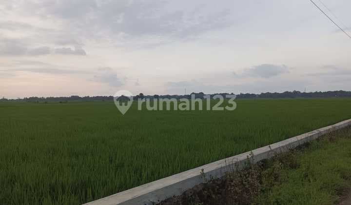 Dijual Tanah Zona Industri Termurah Sekabupaten Subang Jawa Barat
