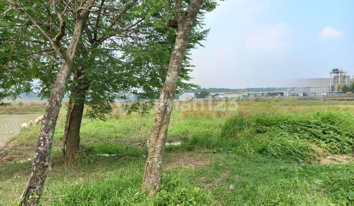 Dijual Cepat Tanah Telukjambe Barat Karawang