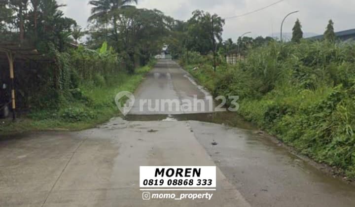 Dijual Cepat Tanah Citeureup Jawa Barat