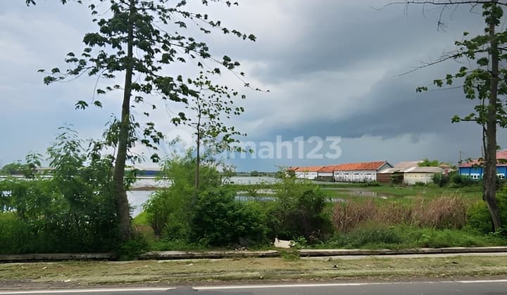 Dijual Cepat Tanah Jalan Pantura Cirebon Jawa Barat