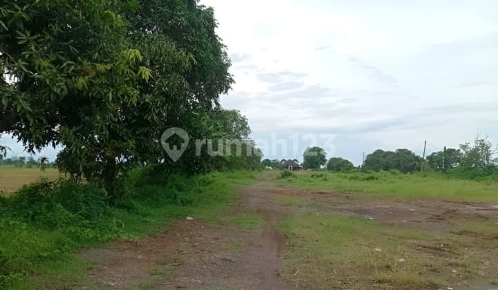 Dijual Tanah Kavling Desa Sukahaji Indramayu Jawa Barat