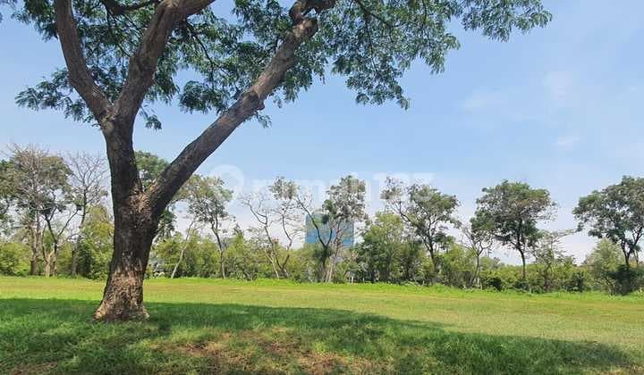 Dijual Cepat Kavling Premium Diamond Pantai Indah Kapuk