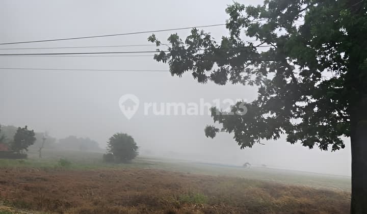 Dijual Cepat Tanah Sanca Cikamurang Jawa Barat