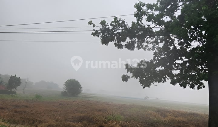 Dijual Cepat Tanah Sanca Cikamurang Jawa Barat