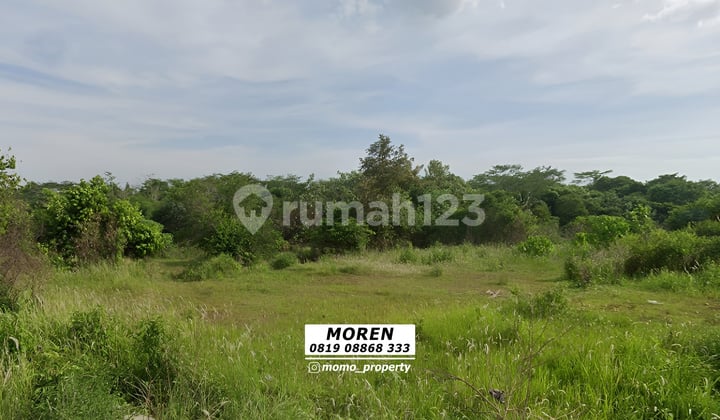 Dijual Cepat Tanah Kodya Cipocok Jaya Serang Banten