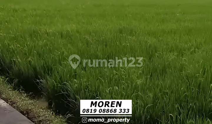 Dijual Cepat Tanah Zona Industri Dareah Pontang Serang Banten