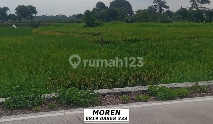 Dijual Cepat Tanah Kosong Desa Songgom Cikande Serang Banten