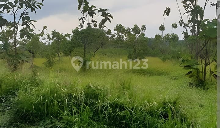 Dijual Cepat Tanah Zona Industri di Kutruk Tigaraksa Tangerang
