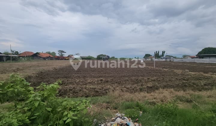 Dijual Cepat Tanah Jalan Pangenan Cirebon Jawa Barat