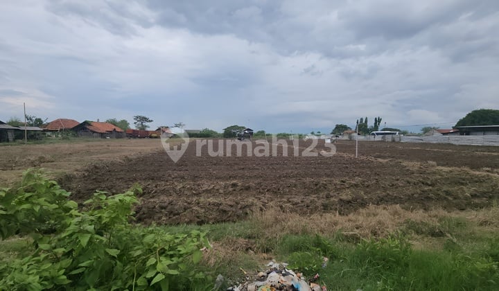Dijual Cepat Tanah Jalan Pangenan Cirebon Jawa Barat