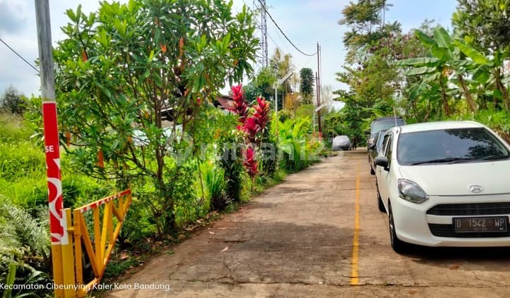 Jual Lelang Tanah Kavling Di Rancakendal Cigadung Dekat Dago Resort