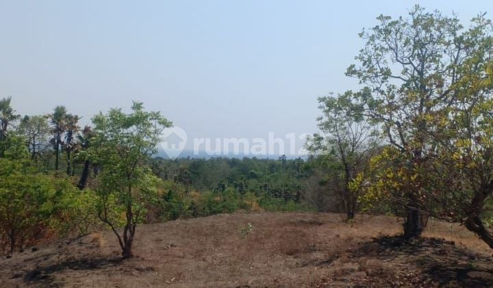 Dijual kavling harga banting at Kubu Karangasem Bali