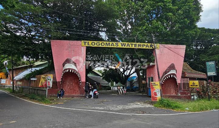 Harga Murah Barang Langka Dijual Taman Rekreasi Tengah Kota