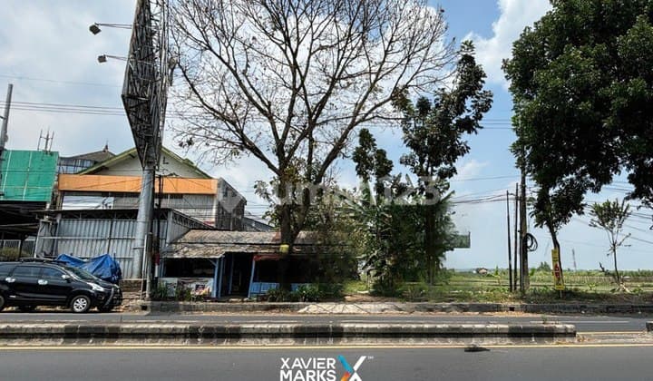 Murah Tanah Luas Strategis Nol Jalan Raya Singosari Siap Bangun