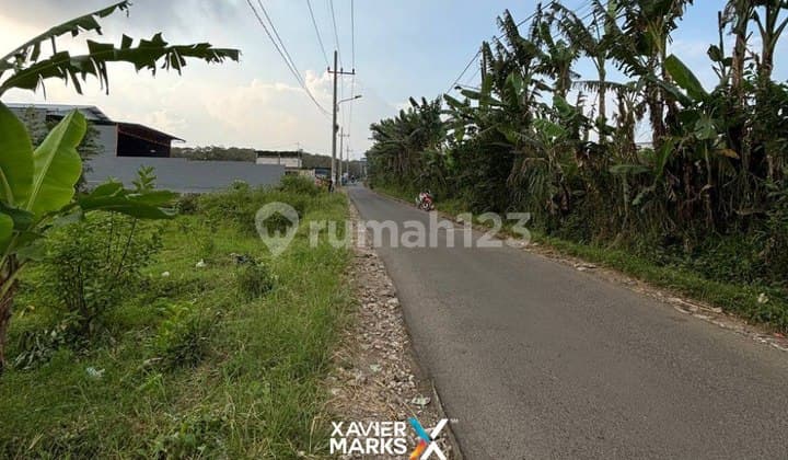 Murah Tanah Luas Di Karangploso Dekat Exit Tol Dan Kota Batu