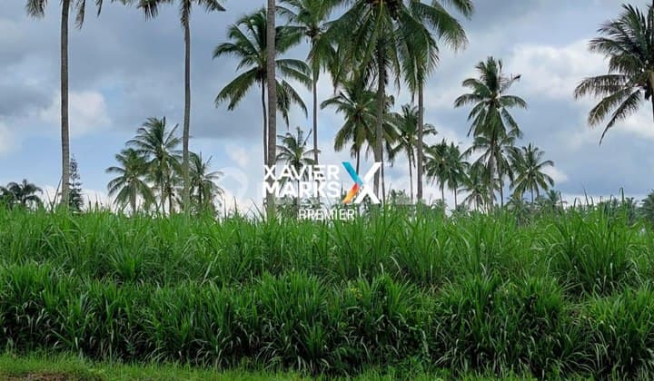 Harga Murah Tanah Luas Nol Jalan Utama Dampit Sangat Strategis