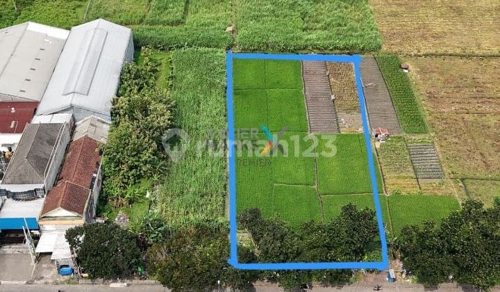 Murah Bawah Njop Tanah Luas Di Nol Jalan Raya Singosari Strategis