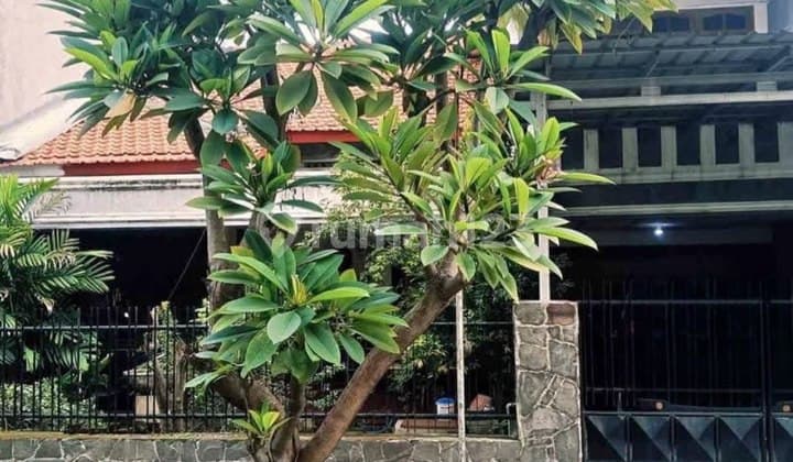 Rumah Gayungsari Barat Surabaya Murah Sam.ya6033