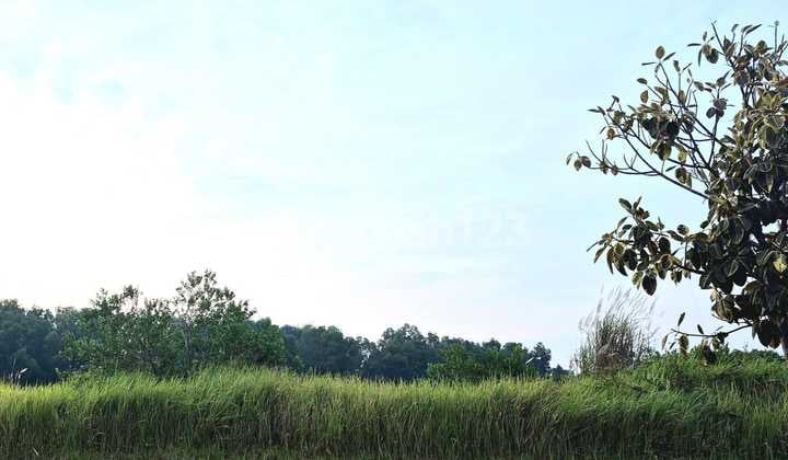 Jual Kav 7336m Di Delta Silicon. Harga Terbaik.