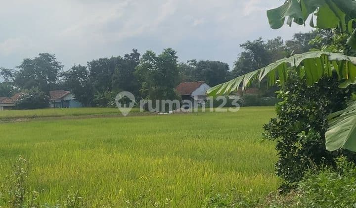 Tanah Luas 935m SHM Lokasi Strategis di Babat, Legok, Tangerang