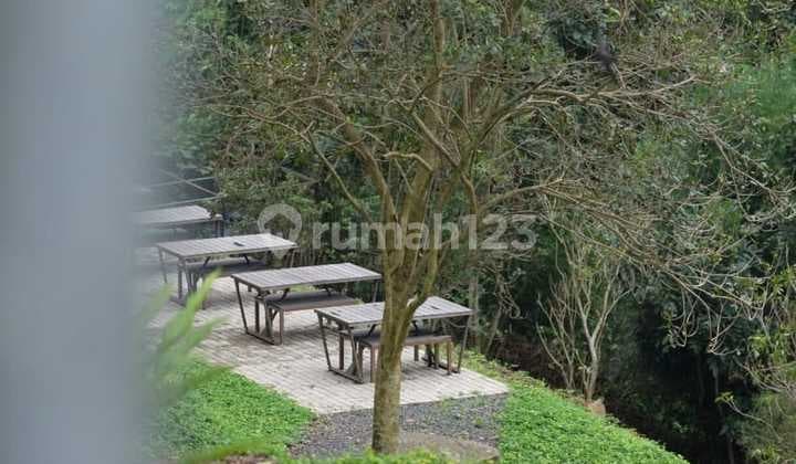 Ruang Usaha Ex Galery Seni, Cafe, Venue Outdoor Di Setiabudi Bandung Utara
