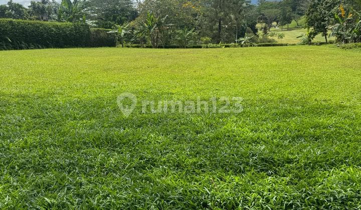 Land for Sale in Rancamaya Kertamaya Bogor