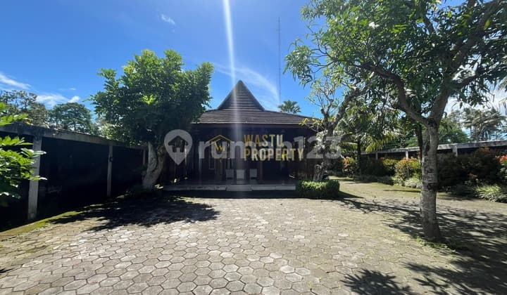 Villa Modern Fully Furnish Tanah Luas di Jakal KM 10 - Sleman