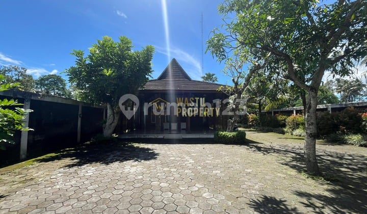 Villa Modern Fully Furnish Tanah Luas di Jakal KM 10 - Sleman