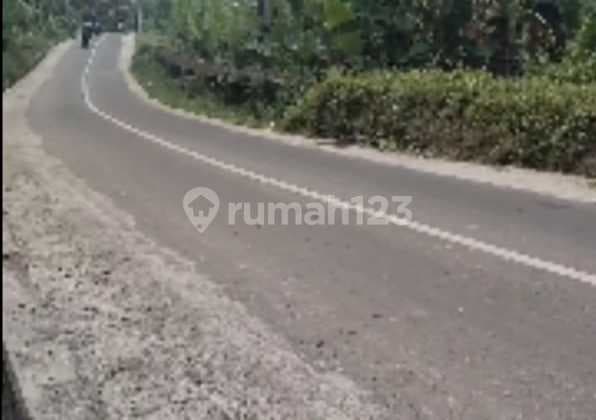 Elongated Land in Sembunggede Tabanan