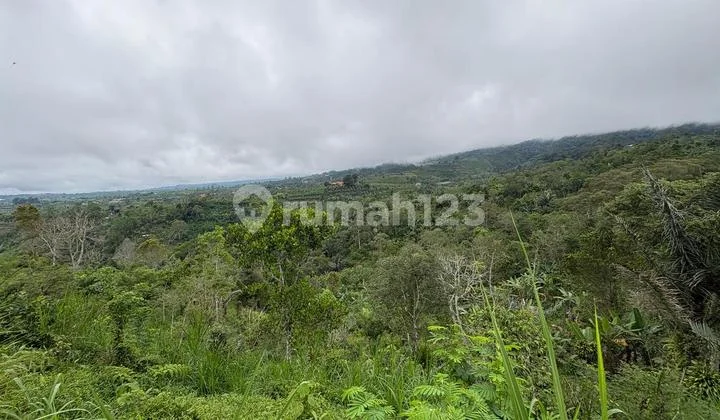 Tanah Berbukit di Jalan Utama Pura Pucak Mangu